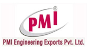 PMI logo